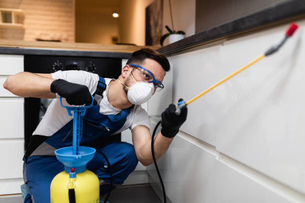 Best Mosquito Control Services  in Cowarts, AL