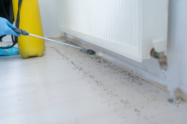 Best Wasp Removal Services  in Cowarts, AL