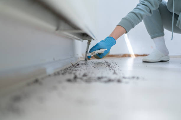 Best Commercial Pest Control Services  in Cowarts, AL